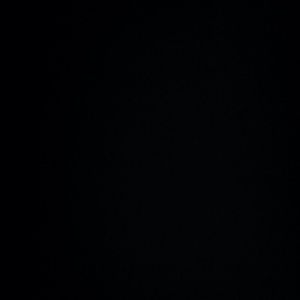 Meet your Posher, Hilary